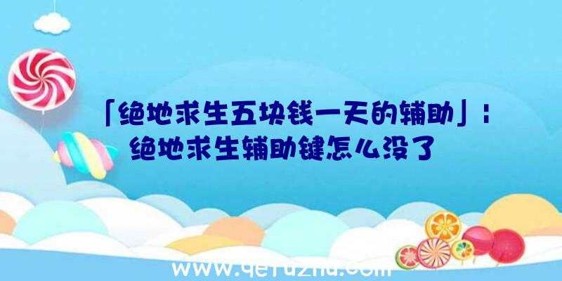 「绝地求生五块钱一天的辅助」|绝地求生辅助键怎么没了